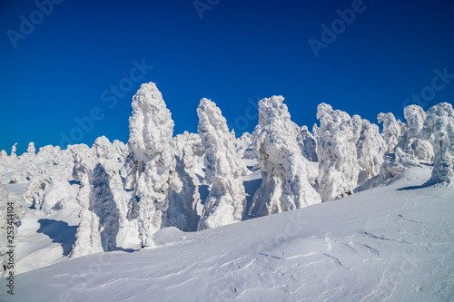  Towada Hachimantai National Park Hachimantai Frost-covered trees