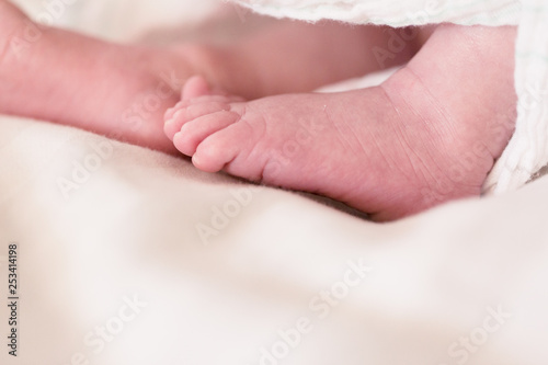 Soft Fresh Newborn Feet