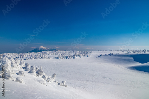  Towada Hachimantai National Park Hachimantai　　 Frost-covered trees © HIROSHI FUJITA