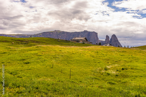 Alpe di Siusi, Seiser Alm with Sassolungo Langkofel Dolomite, a close up of a lush green field in a valley canyon photo