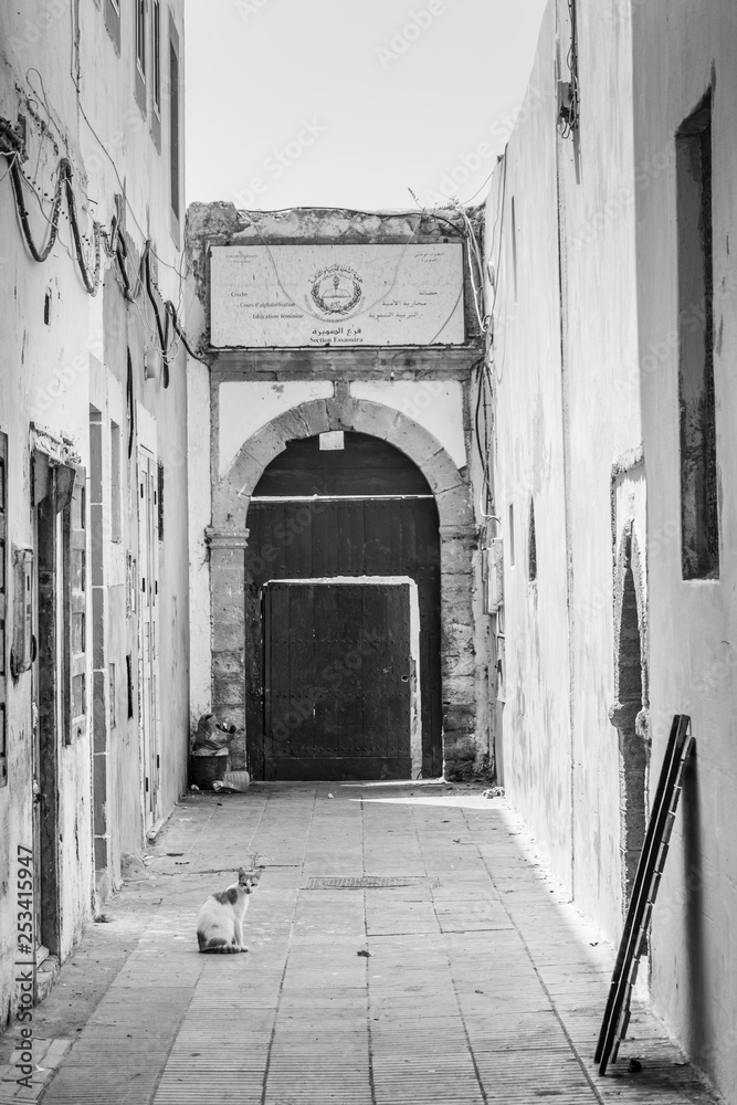 Old street in the medina of Essaouira, Morocco