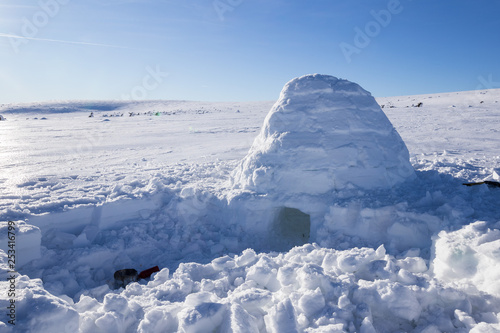 Igloo in a white winter landscape