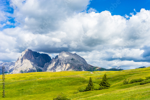 Alpe di Siusi, Seiser Alm with Sassolungo Langkofel Dolomite, a large green field with a mountain in the background