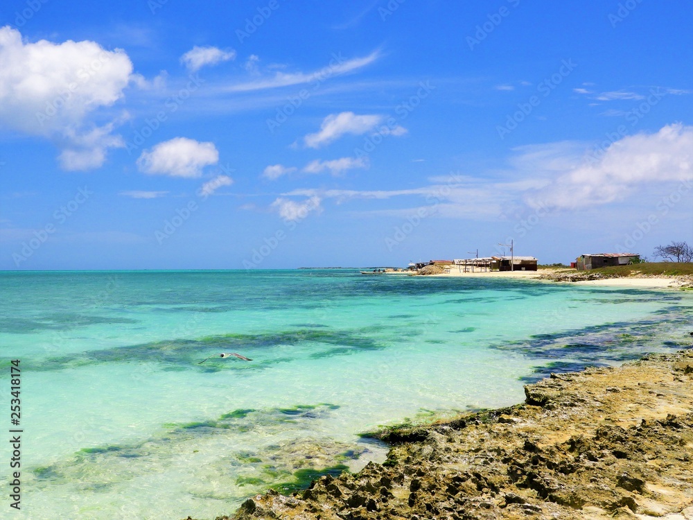 Caribbean sea, Los Roques, Venezuela: vacation on the blue sea and paradisiac beach. Vacation travel. Travel destination. Tropical travel. Great beach scenery. Beautiful landscape.