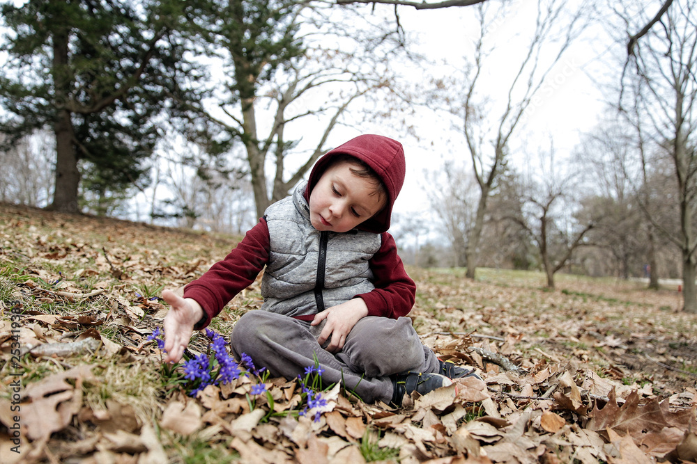 cute boy admiring the first flowers in the park. the child is touching the flowers. Copy space for your text cute boy admiring the first flowers in the park. the child is touching the flowers. Copy space for your text