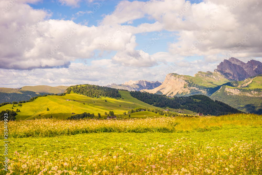 Alpe di Siusi, Seiser Alm with Sassolungo Langkofel Dolomite, a large green field with a mountain in the background