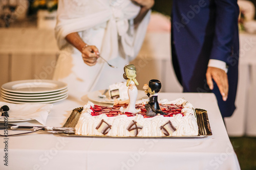 bride and groom figurines on the wedding cake