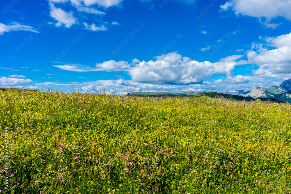 Alpe di Siusi, Seiser Alm with Sassolungo Langkofel Dolomite, a large green field with clouds in the sky Alpe di Siusi, Seiser Alm with Sassolungo Langkofel Dolomite, a large green field with clouds in the sky
