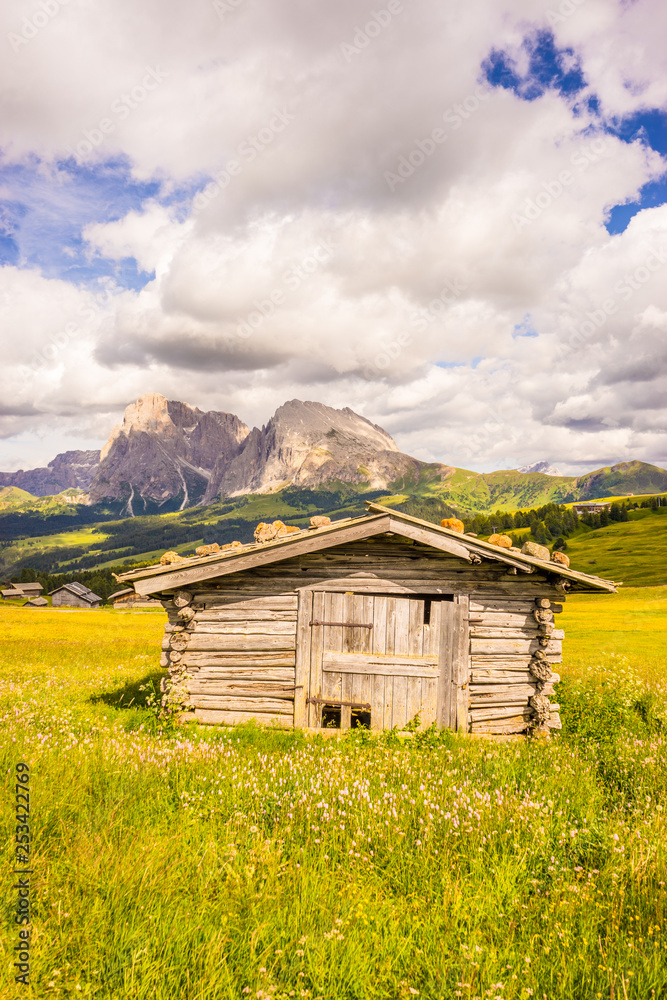 Fototapeta premium Italy, Alpe di Siusi, Seiser Alm with Sassolungo Langkofel Dolomite, an old barn in a field