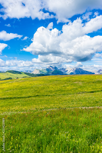 Alpe di Siusi  Seiser Alm with Sassolungo Langkofel Dolomite  a large green field under a cloudy blue sky
