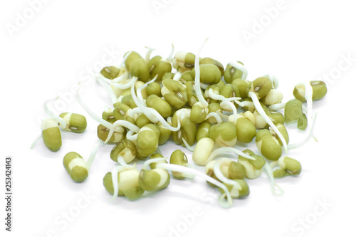 Sprouted mung beans isolated on white background photo