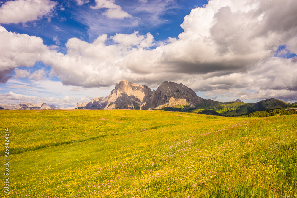 Alpe di Siusi, Seiser Alm with Sassolungo Langkofel Dolomite, a large green field with clouds in the sky