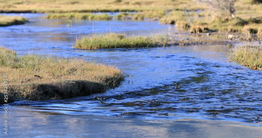 Twisted river stream flows through grassy valley of Nubra, Ladakh, India 4K 60p video background Twisted river stream flows through grassy valley of Nubra, Ladakh, India 4K 60p video background