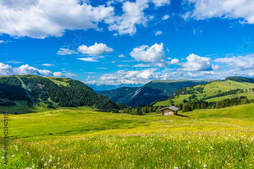 Alpe di Siusi, Seiser Alm with Sassolungo Langkofel Dolomite, a large green field with a mountain in the background