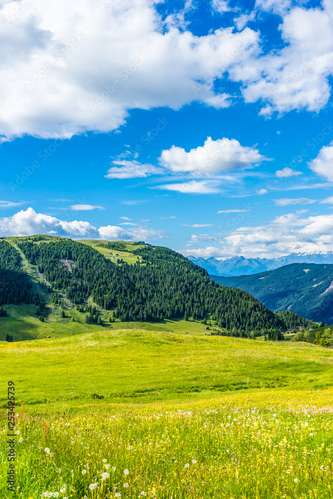 Alpe di Siusi, Seiser Alm with Sassolungo Langkofel Dolomite, a large green field with a mountain in the background