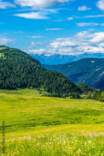 Alpe di Siusi, Seiser Alm with Sassolungo Langkofel Dolomite, a large green field with a mountain in the background