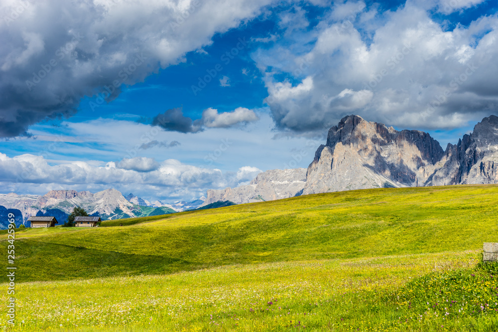 Alpe di Siusi, Seiser Alm with Sassolungo Langkofel Dolomite, a group of people in a field with a mountain in the background