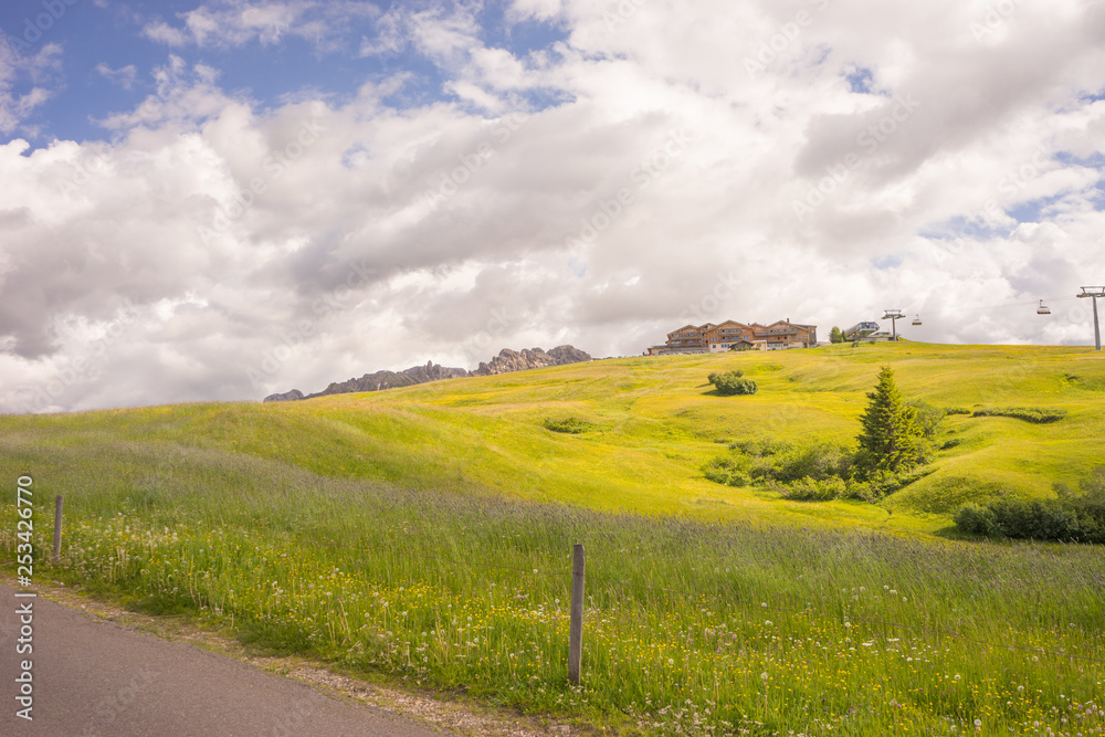 Fototapeta premium Alpe di Siusi, Seiser Alm with Sassolungo Langkofel Dolomite, a close up of a lush green field
