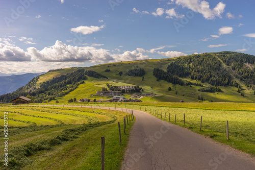 Alpe di Siusi, Seiser Alm with Sassolungo Langkofel Dolomite, a trekking walking winding path in a lush green field © SkandaRamana