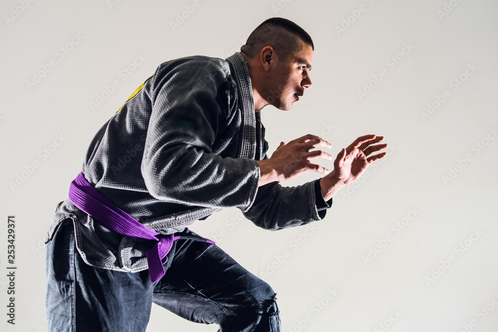 Brazilian Jiu JItsu BJJ Fighter in A Fighting Stance Stock Photo Adobe Stock