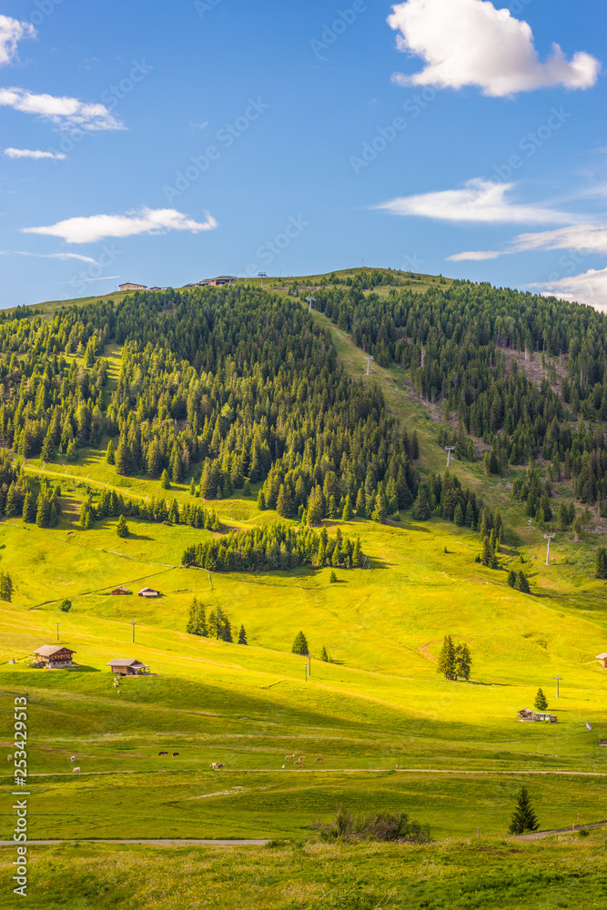 Obraz premium Alpe di Siusi, Seiser Alm with Sassolungo Langkofel Dolomite, a close up of a lush green field in a valley canyon