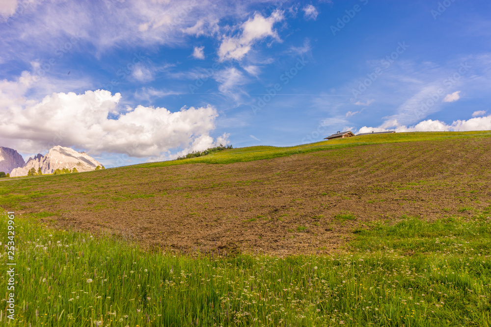 Alpe di Siusi, Seiser Alm with Sassolungo Langkofel Dolomite, a person standing on a lush green field Alpe di Siusi, Seiser Alm with Sassolungo Langkofel Dolomite, a person standing on a lush green field