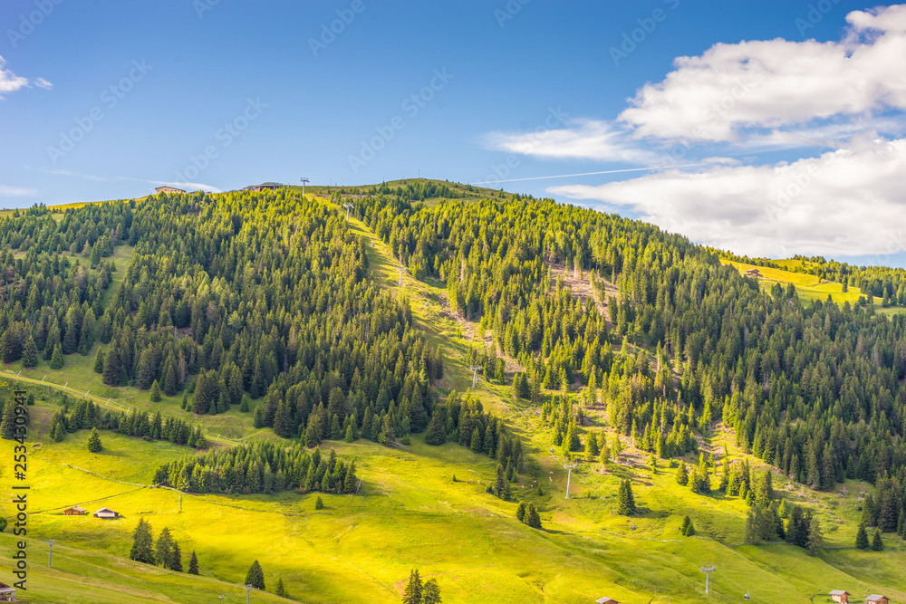Obraz premium Alpe di Siusi, Seiser Alm with Sassolungo Langkofel Dolomite, a close up of a lush green field in a valley canyon
