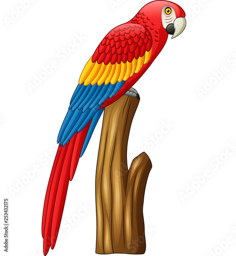 Illustration of macaw on a branch