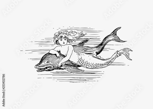 Mermaid and a dolphin
