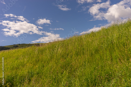 Alpe di Siusi  Seiser Alm with Sassolungo Langkofel Dolomite  a large green field with trees in the background