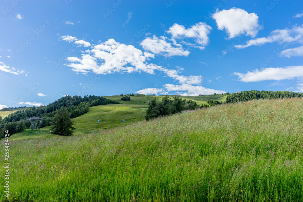 Alpe di Siusi, Seiser Alm with Sassolungo Langkofel Dolomite, a close up of a lush green field Alpe di Siusi, Seiser Alm with Sassolungo Langkofel Dolomite, a close up of a lush green field