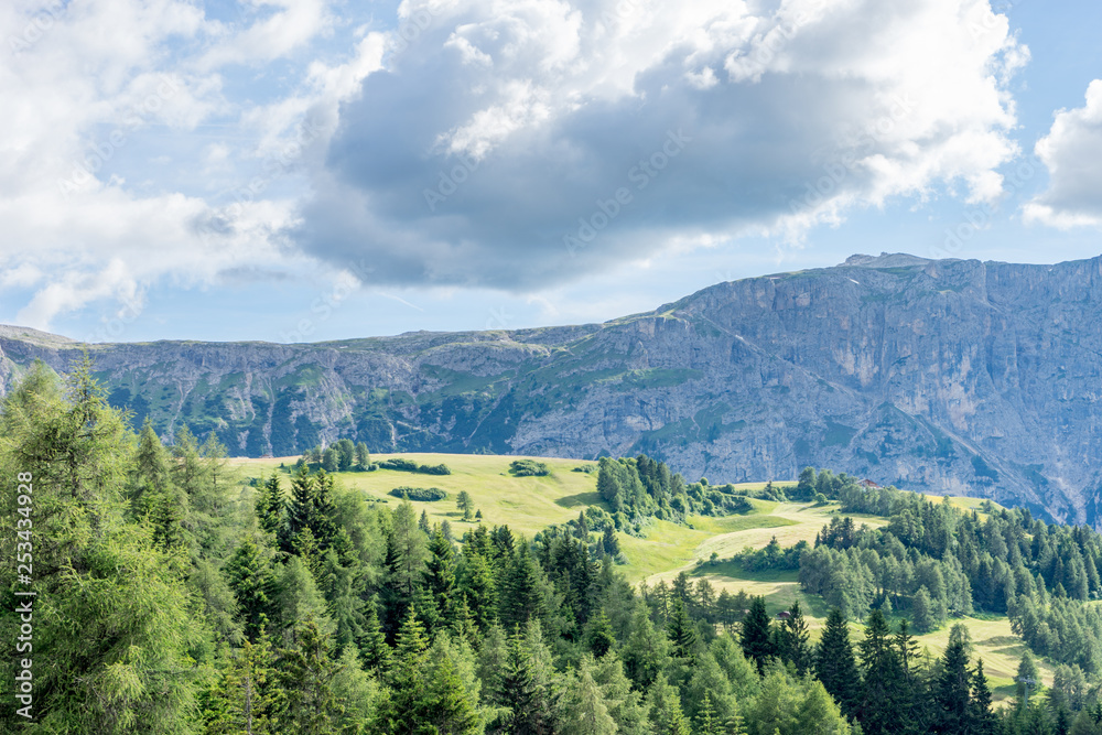 Alpe di Siusi, Seiser Alm with Sassolungo Langkofel Dolomite, a tree with a mountain in the background