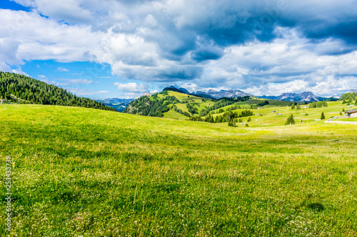 Alpe di Siusi, Seiser Alm with Sassolungo Langkofel Dolomite, a close up of a lush green field