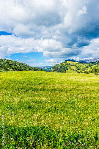 Alpe di Siusi, Seiser Alm with Sassolungo Langkofel Dolomite, a large green field with trees in the background