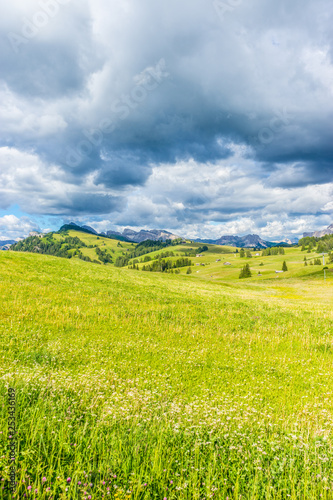 Alpe di Siusi  Seiser Alm with Sassolungo Langkofel Dolomite  a large green field under a cloudy blue sky