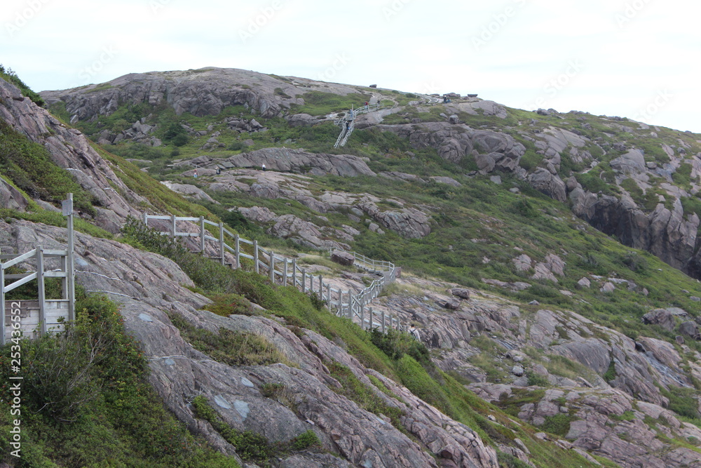 Fototapeta premium nature