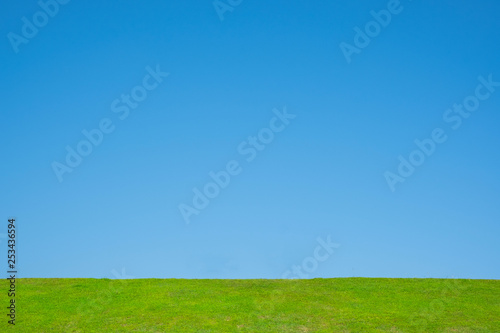 clear sky with green grass background.