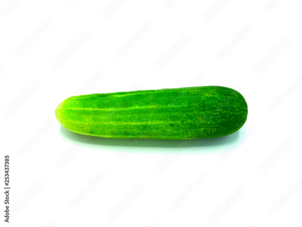 One cucumber isolated on white background - Image One cucumber isolated on white background - Image