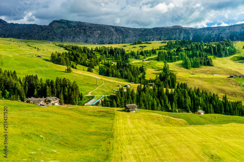 Alpe di Siusi, Seiser Alm with Sassolungo Langkofel Dolomite, a herd of cattle grazing on a lush green field © SkandaRamana