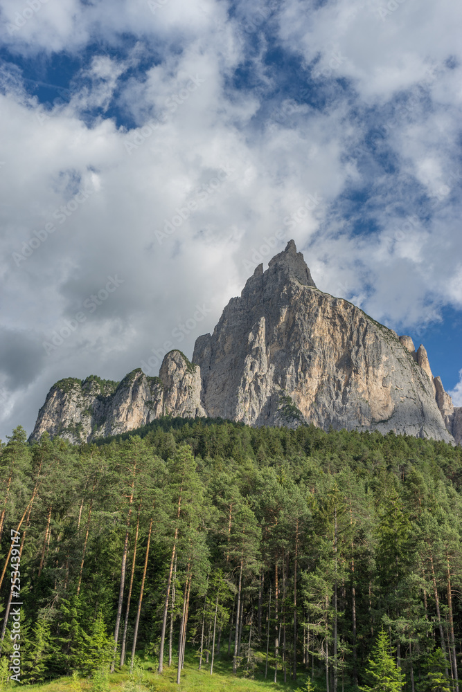Obraz premium Alpe di Siusi, Seiser Alm with Sassolungo Langkofel Dolomite, a tree with a mountain in the background