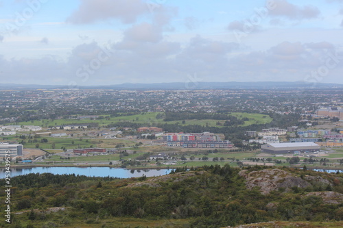 view