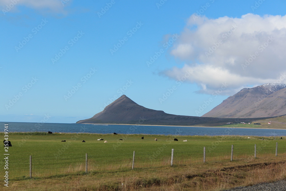 Fototapeta premium iceland