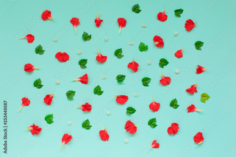 Falling petals of carnation on blue background. Cover. Falling petals of carnation on blue background. Cover.