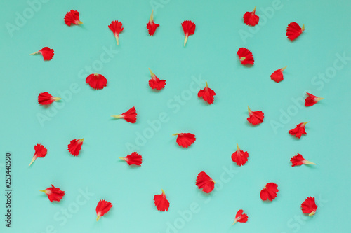 Falling petals of carnation on blue background. Cover.