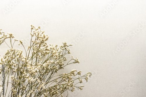 Close up grey  fablic texture with group of  flowers. photo