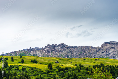 Alpe di Siusi  Seiser Alm with Sassolungo Langkofel Dolomite  lush green field