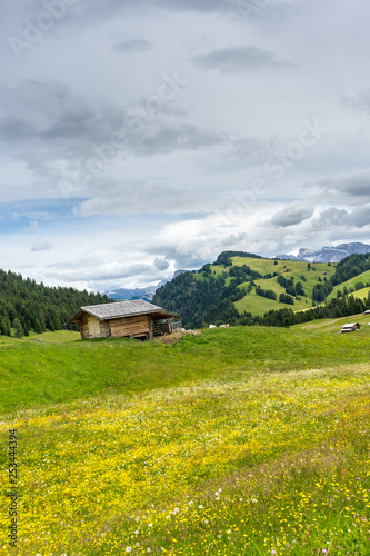 Alpe di Siusi, Seiser Alm with Sassolungo Langkofel Dolomite, a large green field with trees in the background
