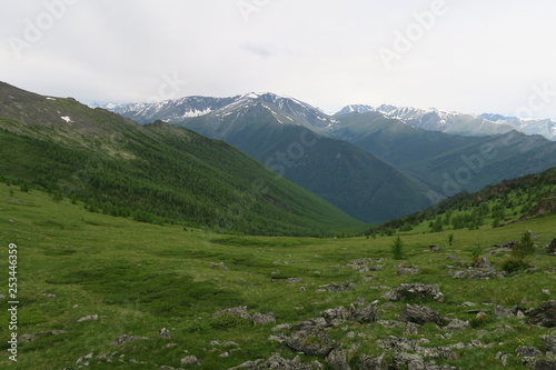 Mountain meadows scenic view. Altai Mountains, Russia