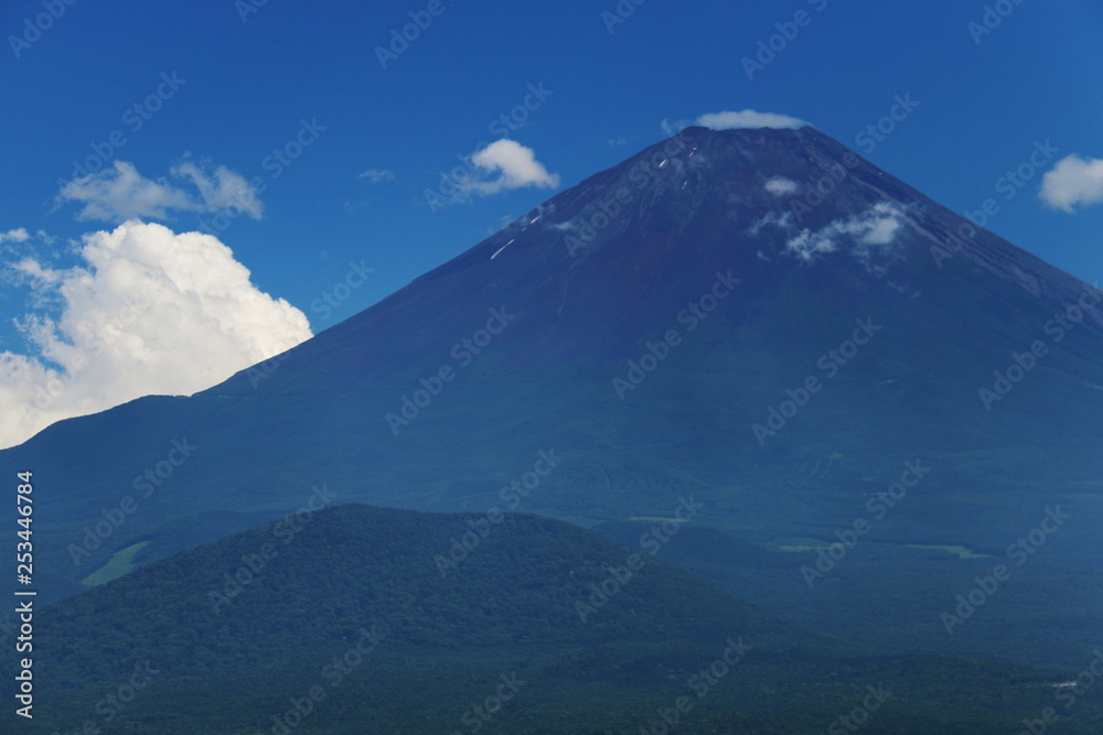 青木樹林越しの富士山の雄姿　パノラマ台より