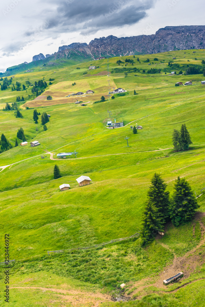 Obraz premium Italy, Alpe di Siusi, Seiser Alm with Sassolungo Langkofel Dolomite, a herd of sheep walking across a lush green field
